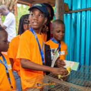 photos camps