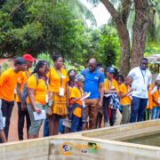 photos camps
