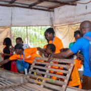 photos camps